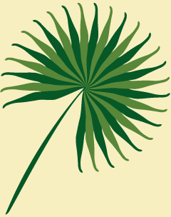 pristina-palmleaf.gif